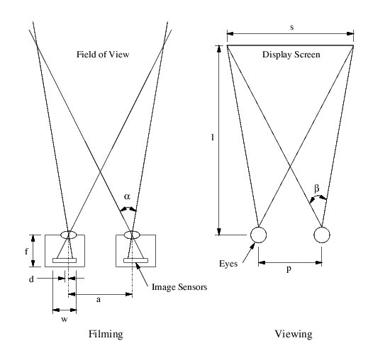 Setup of two cameras for stereoscopic video acquisition